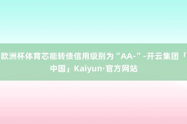 欧洲杯体育芯能转债信用级别为“AA-”-开云集团「中国」Kaiyun·官方网站