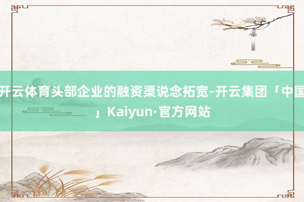 开云体育头部企业的融资渠说念拓宽-开云集团「中国」Kaiyun·官方网站