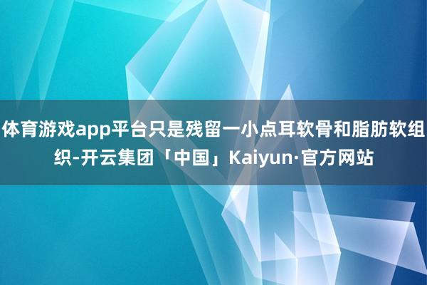 体育游戏app平台只是残留一小点耳软骨和脂肪软组织-开云集团「中国」Kaiyun·官方网站