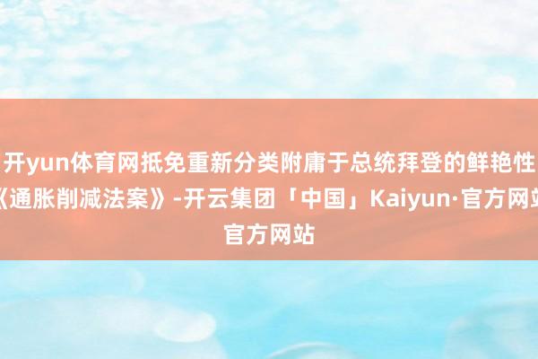 开yun体育网抵免重新分类附庸于总统拜登的鲜艳性《通胀削减法案》-开云集团「中国」Kaiyun·官方网站