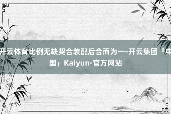 开云体育比例无缺契合装配后合而为一-开云集团「中国」Kaiyun·官方网站